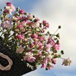 arrangement des fleurs